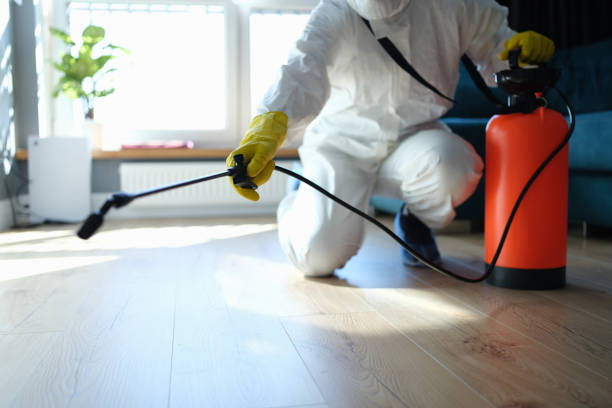 Reliable Sewage Cleanup contractor in Riverdale, MD by Trauma Clean Pros